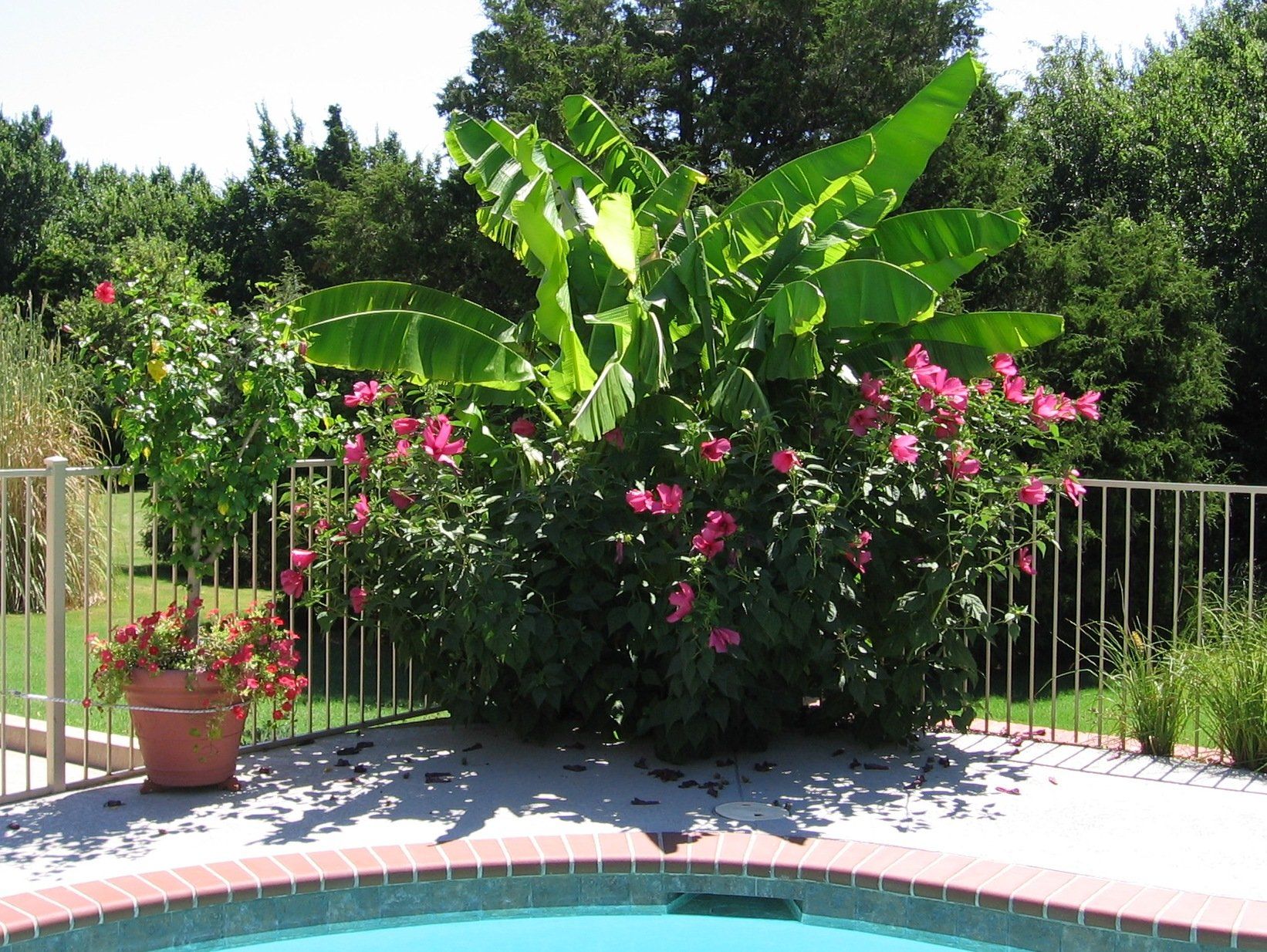 Edmond Landscapes & Ground Maintenance Inc image