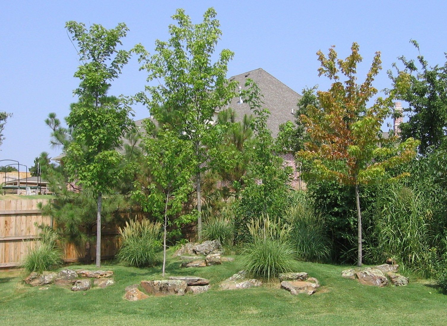 Edmond Landscapes & Ground Maintenance Inc image