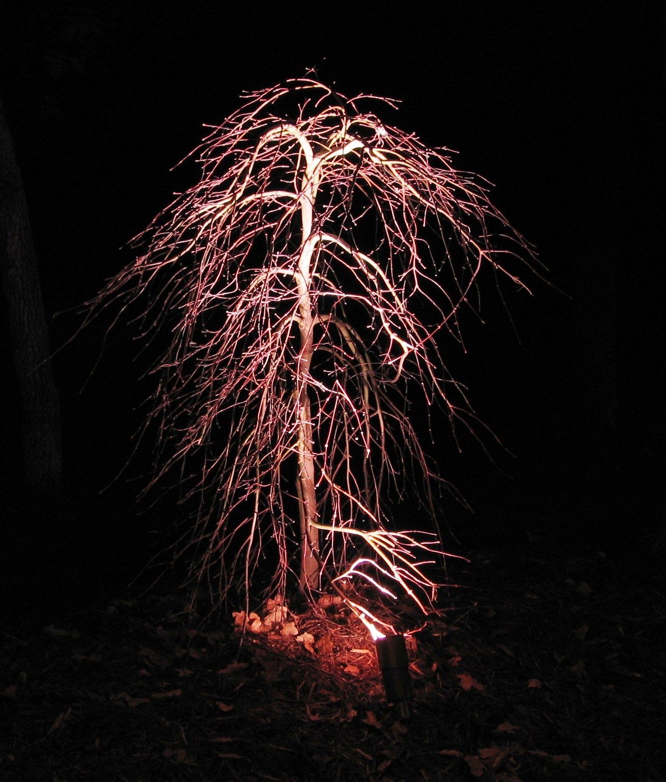 Edmond Landscapes & Ground Maintenance Inc image