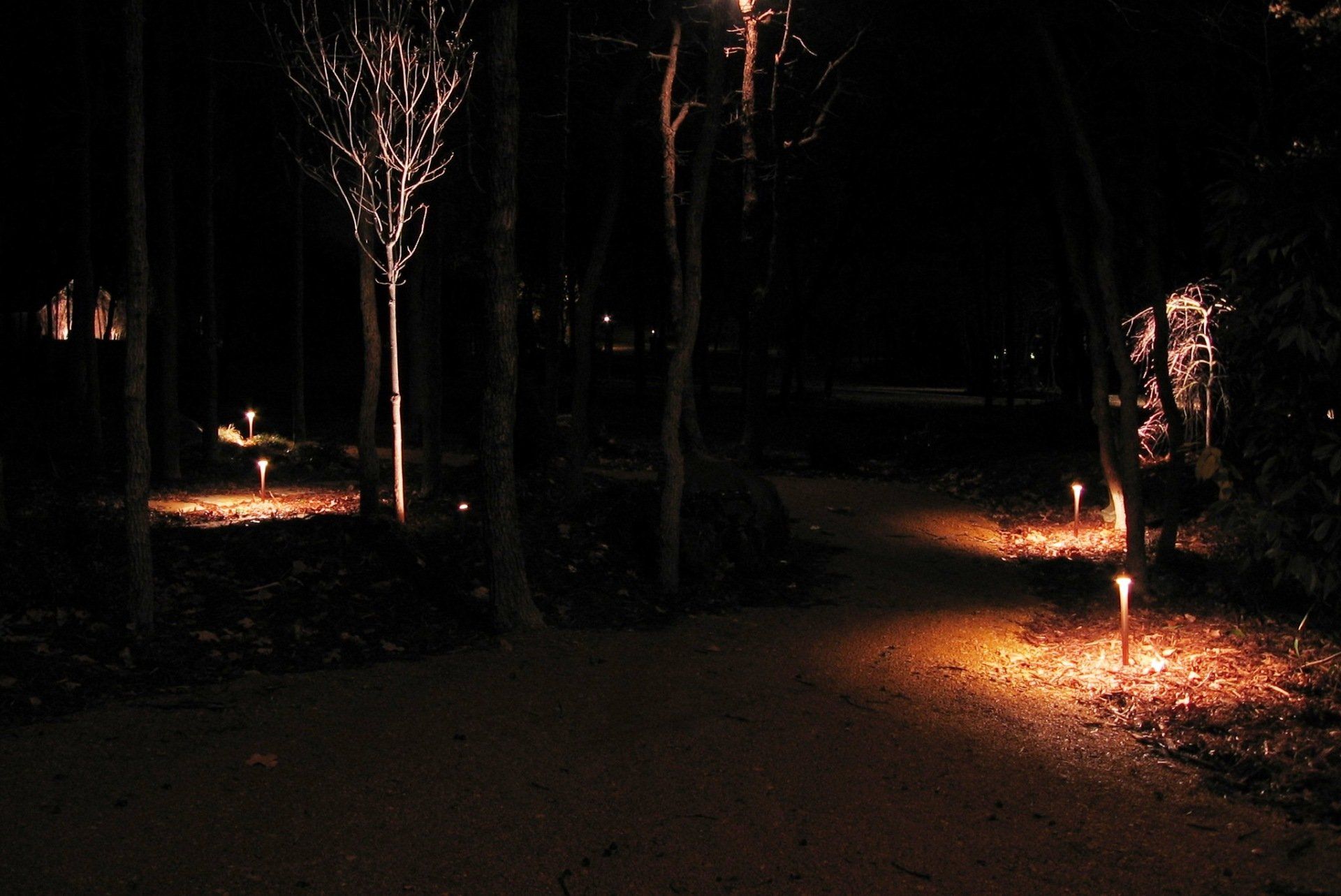 Edmond Landscapes & Ground Maintenance Inc image