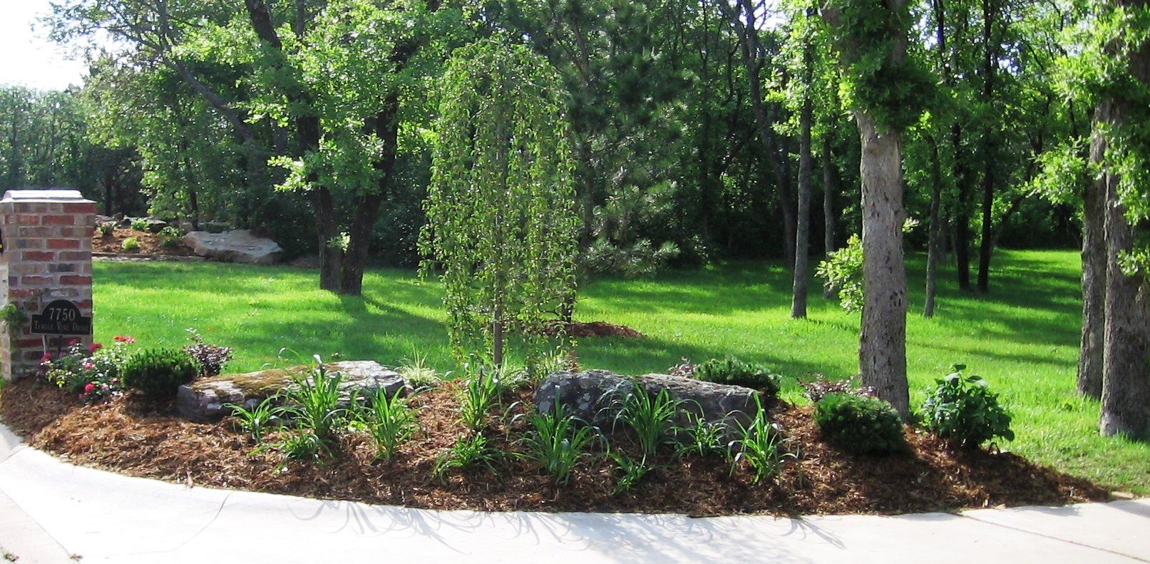 Edmond Landscapes & Ground Maintenance Inc image