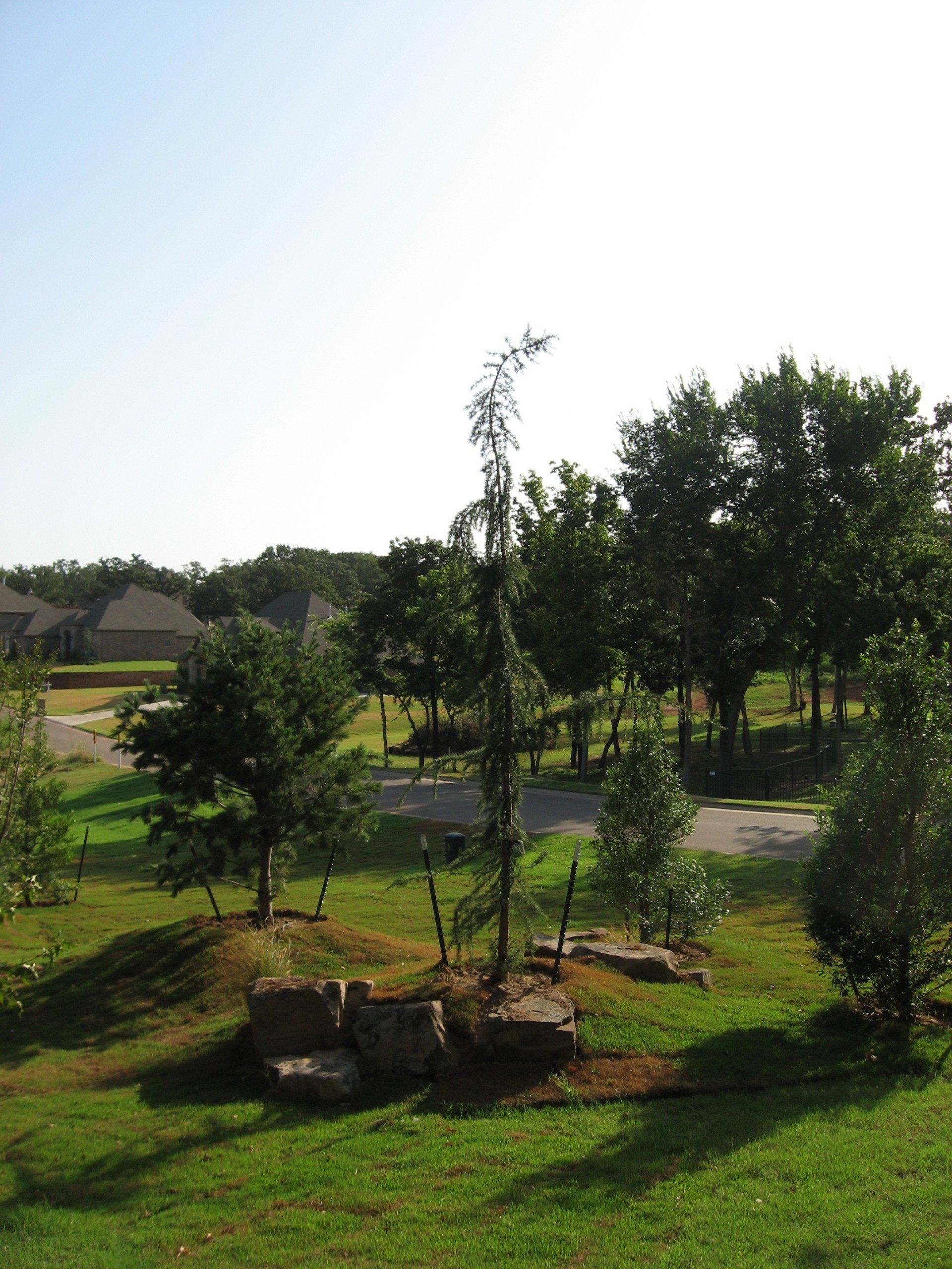 Edmond Landscapes & Ground Maintenance Inc image