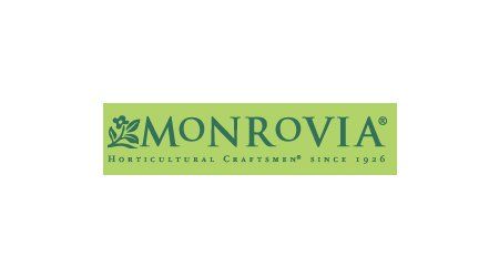 Monrovia