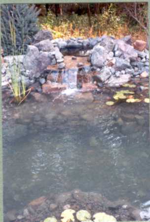 Edmond Landscapes & Ground Maintenance Inc image