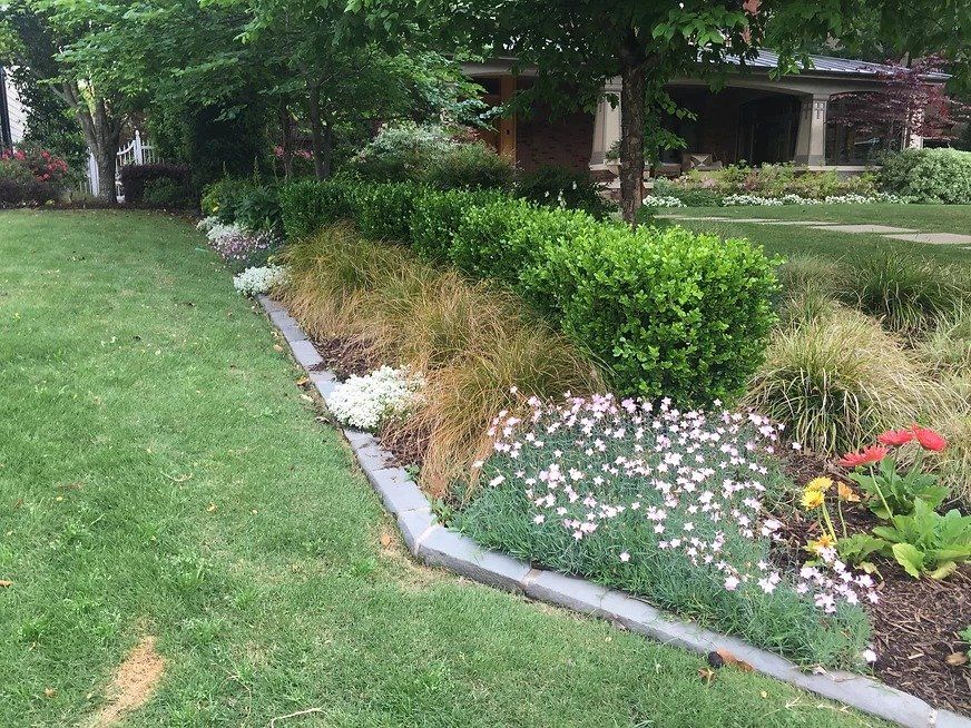 Texas perennials