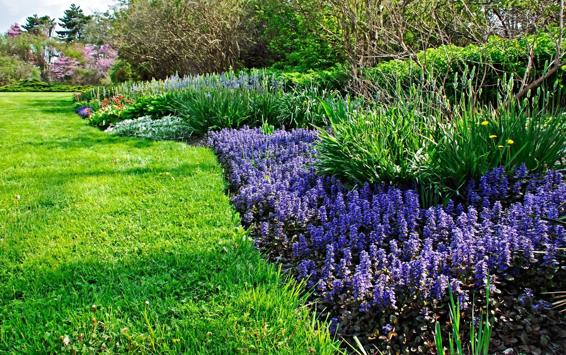 backyard design services