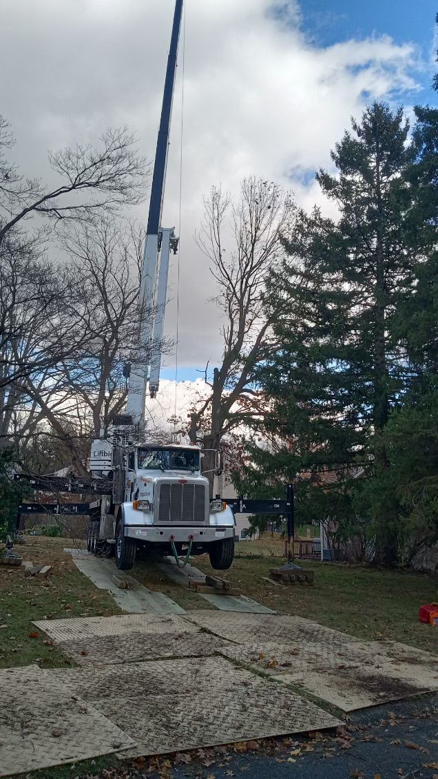 A truck with a crane attached to it is cutting down a tree.
