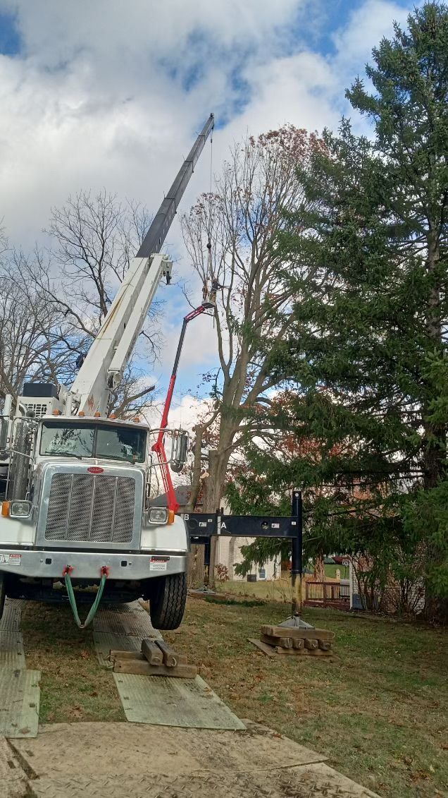 A truck with a crane attached to it is cutting a tree.
