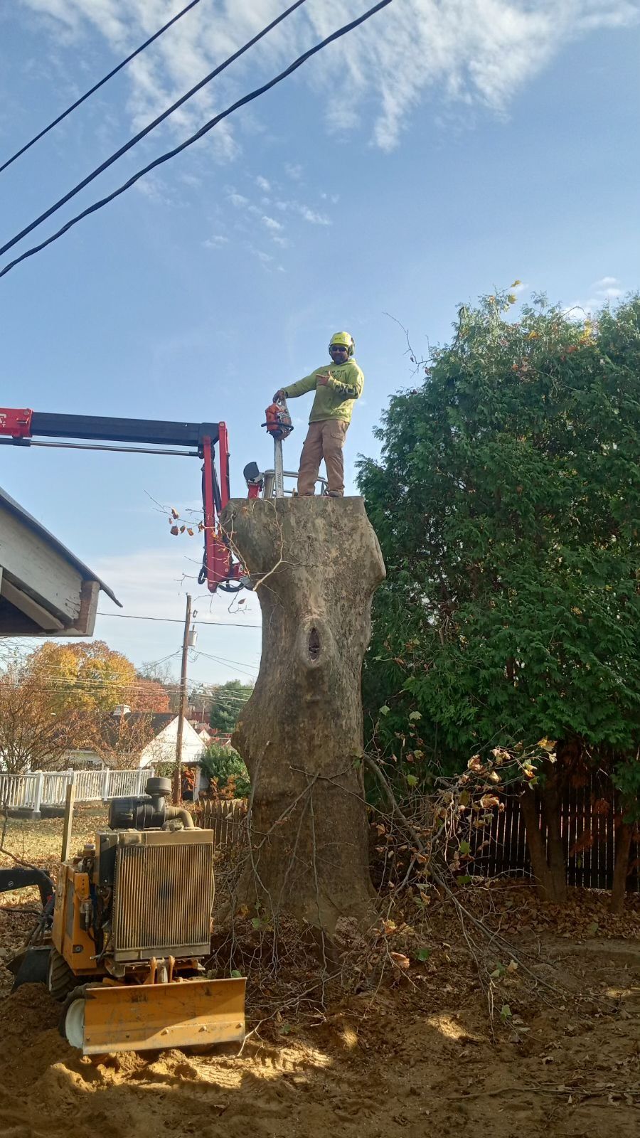 A man is standing on top of a large tree stump.