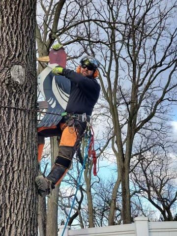 A man is climbing a tree to install a birdhouse.