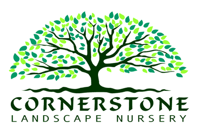Green tree logo with the words “Cornertstone Landscape Nursery”