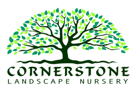 Green tree logo with the words &ldquo;Cornertstone Landscape Nursery&rdquo;