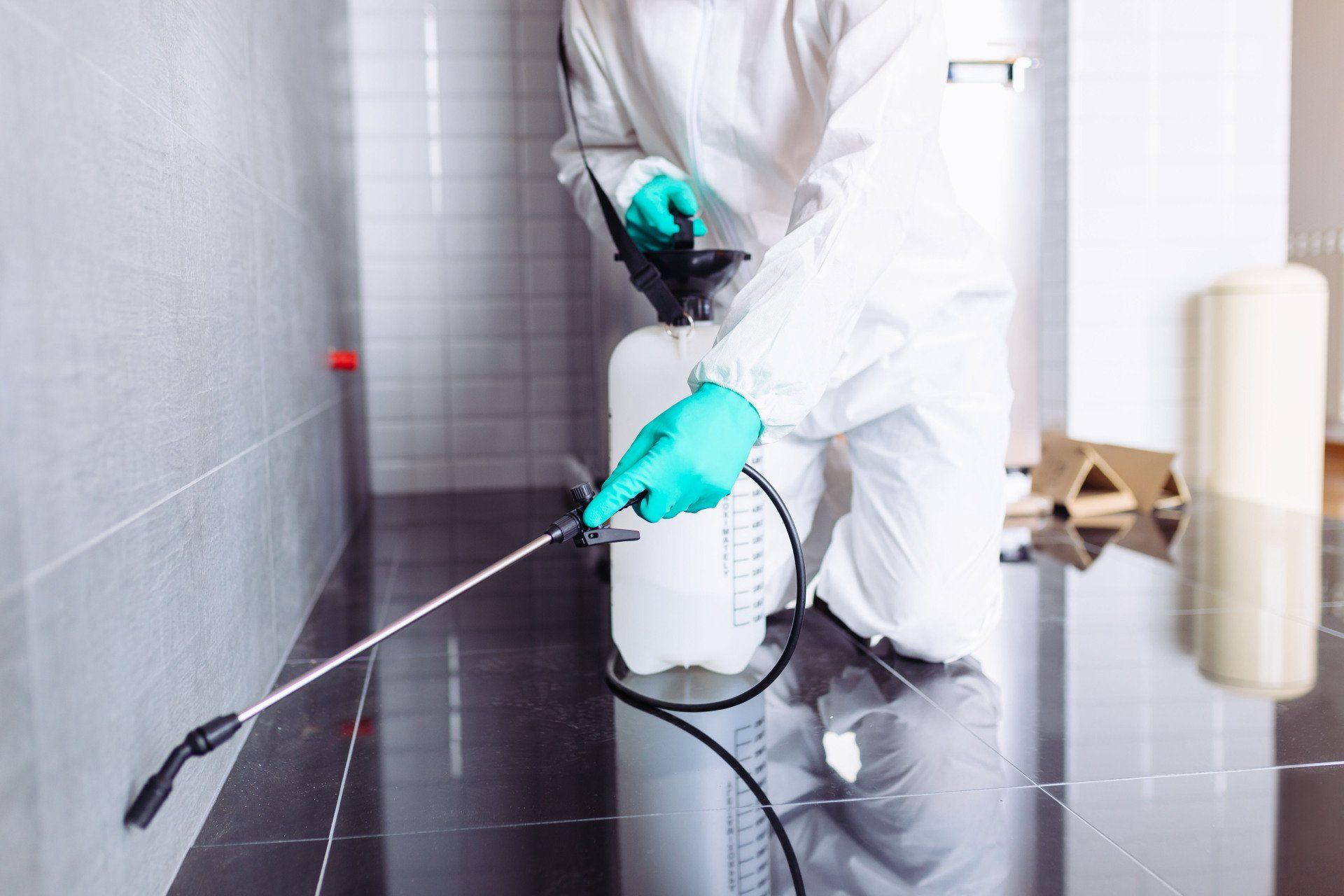 Termite Control Solutions