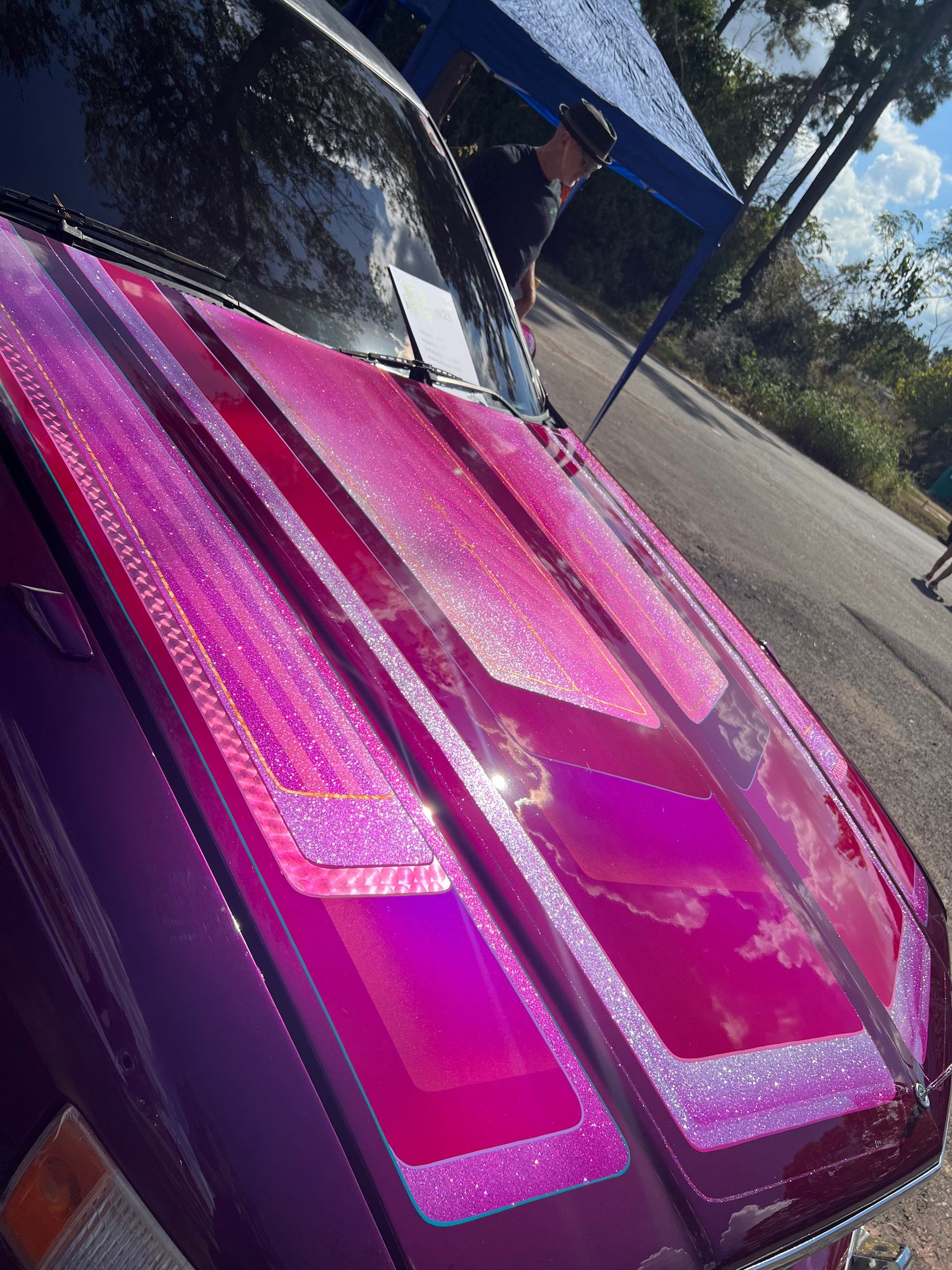 Purple car hood with glitter accents, reflecting the sky.