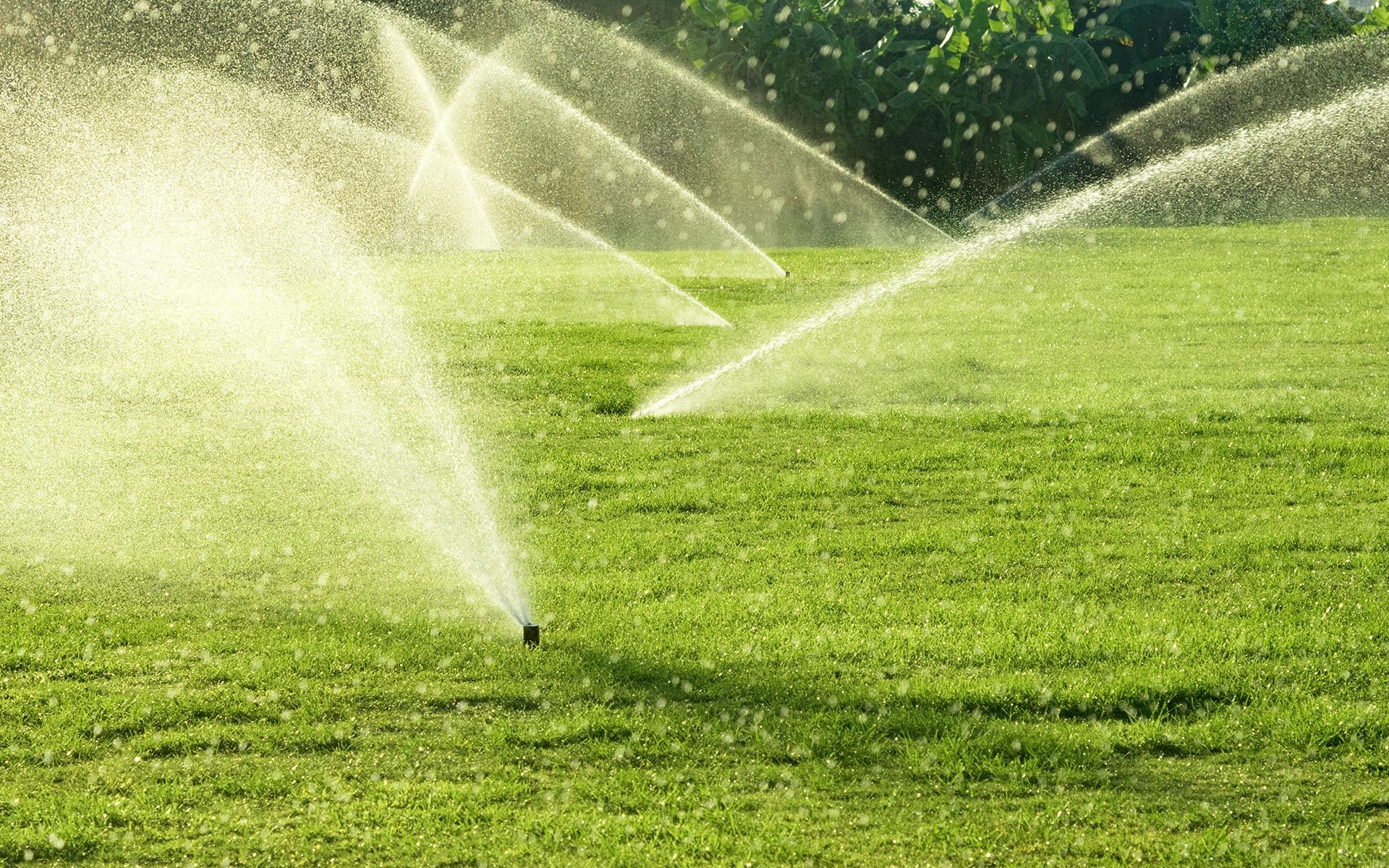 About The Sprinkler Man San Diego, CA Irrigation Systems