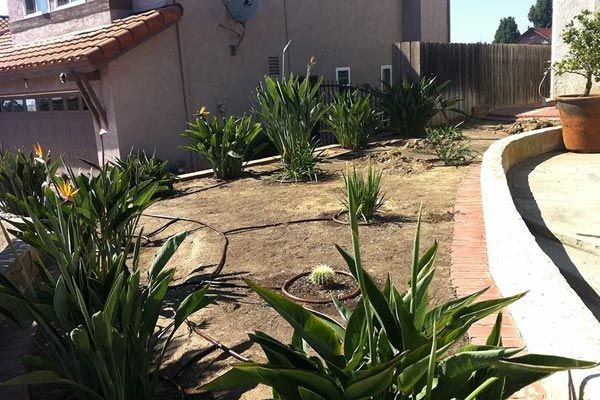Drought-Tolerant Irrigation
