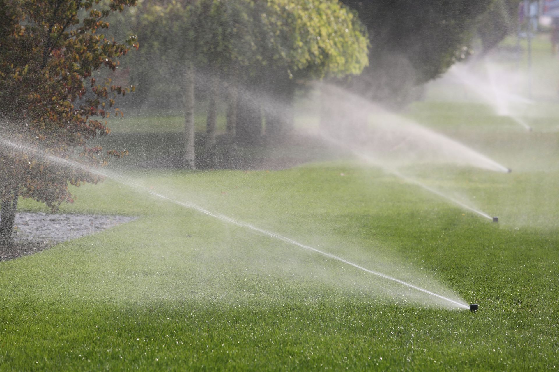 sprinkler system repair contractors