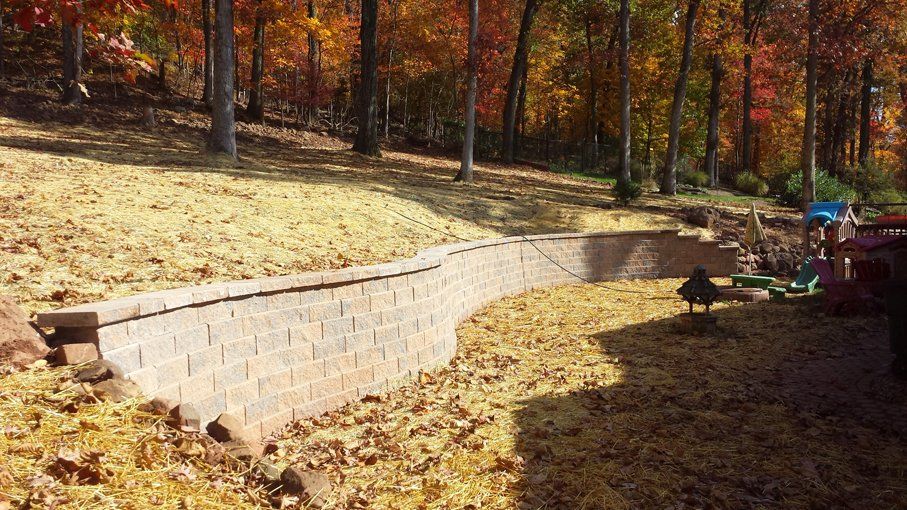 A brick wall is being built in the middle of a forest.