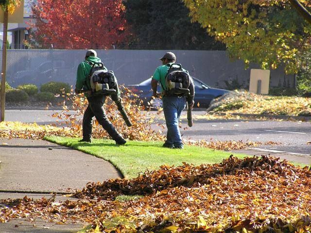 Two men wearing backpacks blowing leaves on a sidewalk