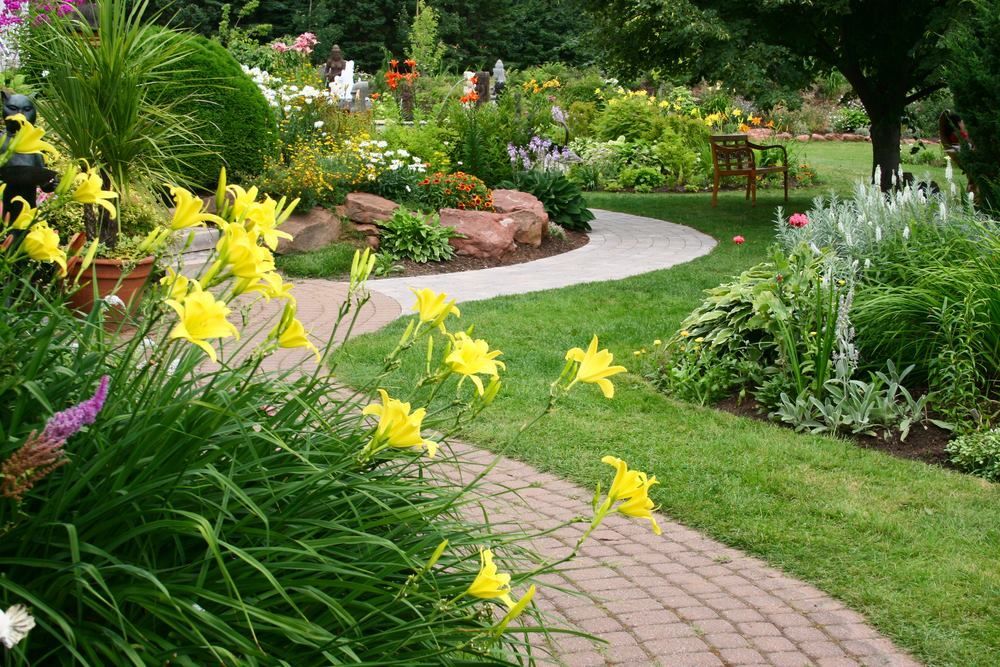 A path in a garden with yellow flowers and a bench