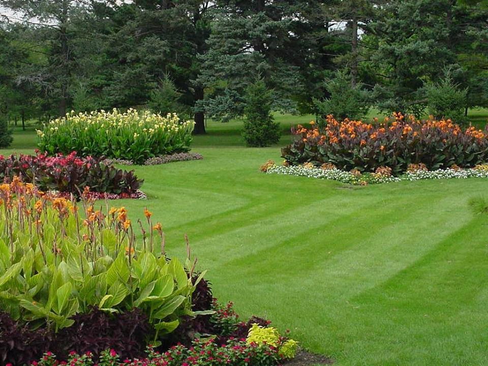 A lush green lawn with flowers and trees in the background
