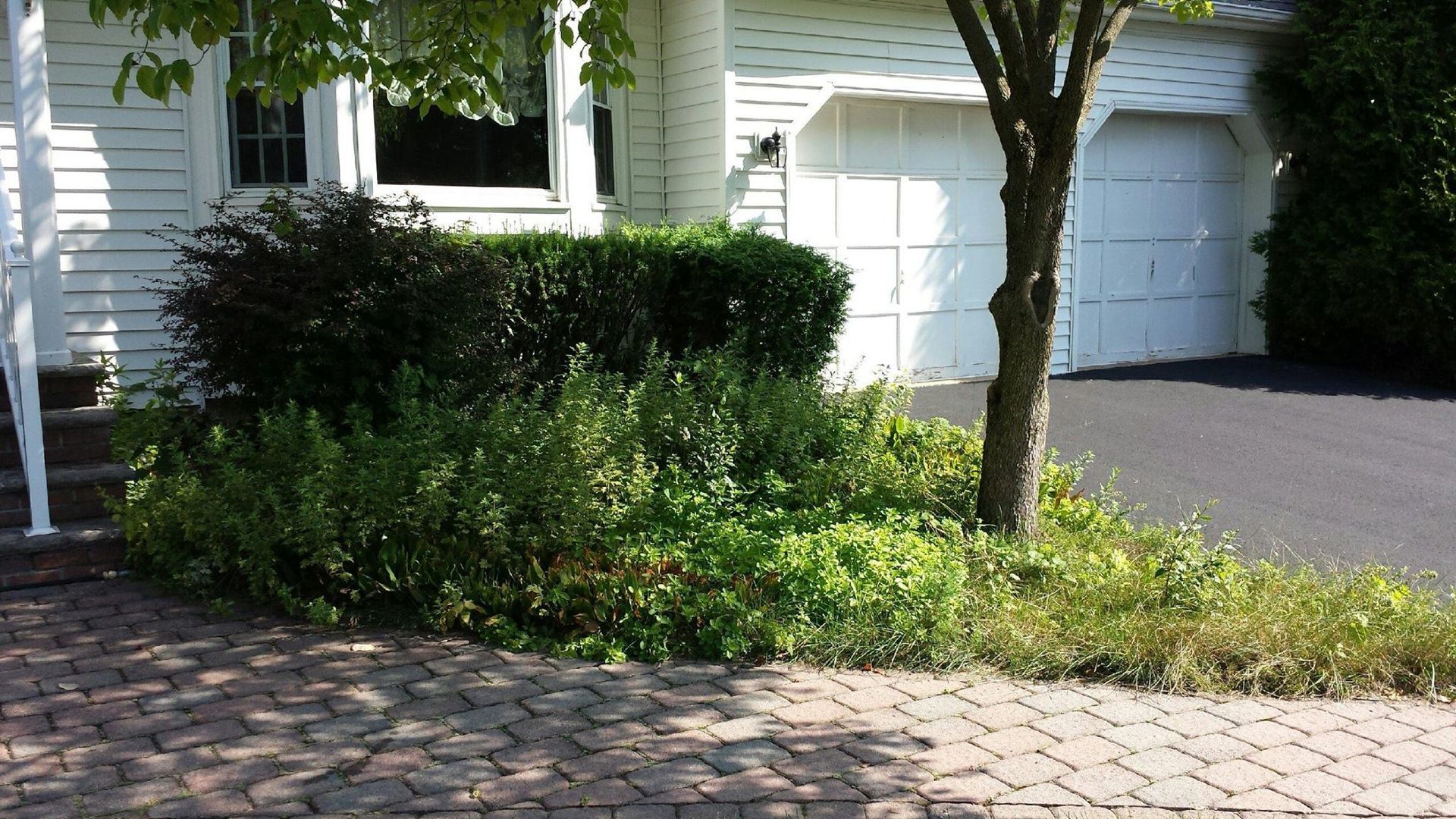 A white house with a tree in front of it