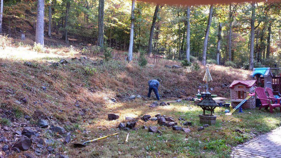 A man is standing in a yard with a playground in the background.