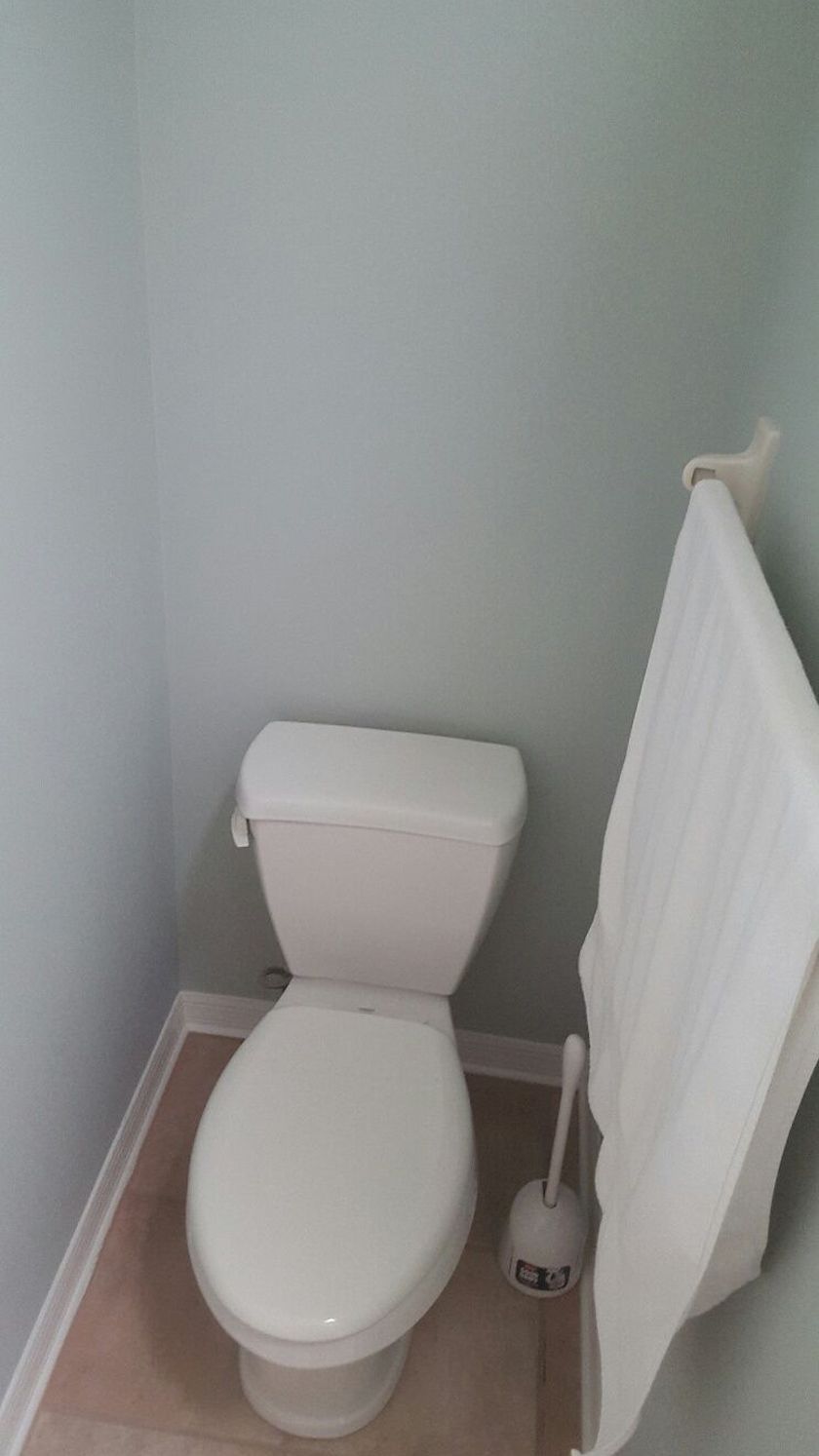 A toilet in the bathroom with a towel hanging on the wall