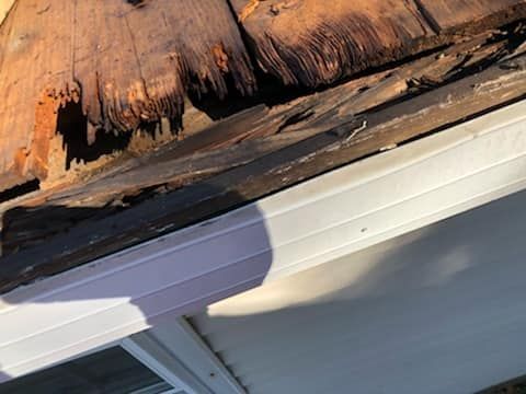 Severe wood rot and structural damage on a roof eave above a white metal fascia board.