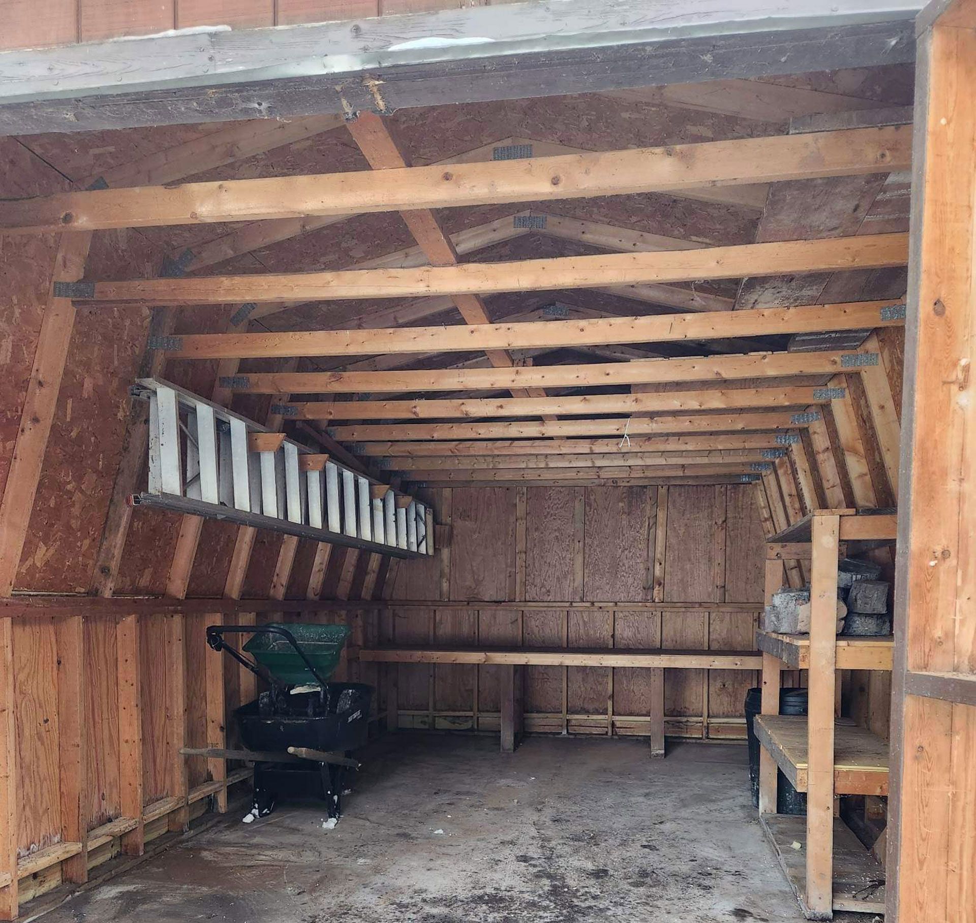 The interior of a wooden shed with an open doorway, a ladder hanging on the left, a garden cart, and storage shelves.