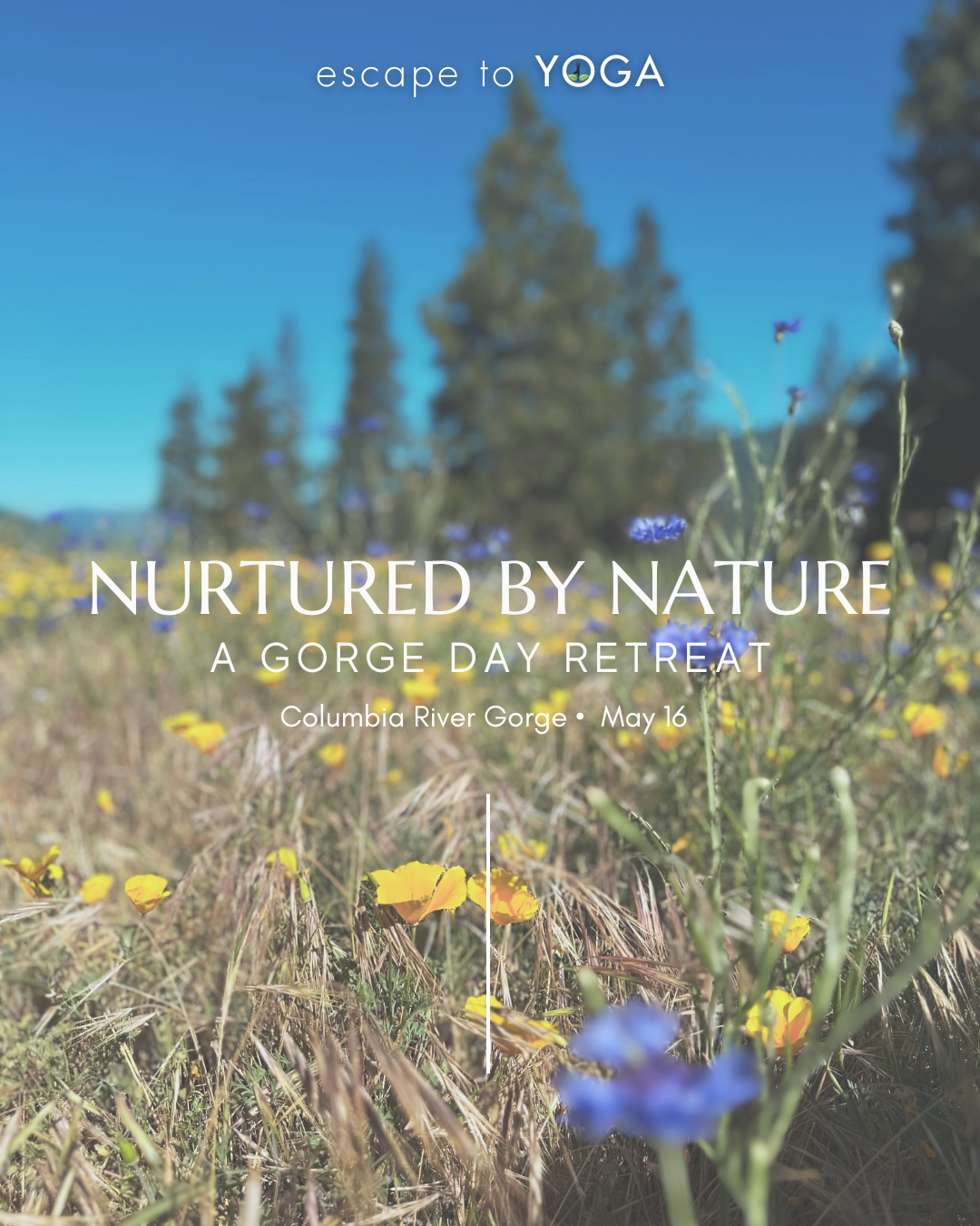 Poster for a yoga day retreat titled 