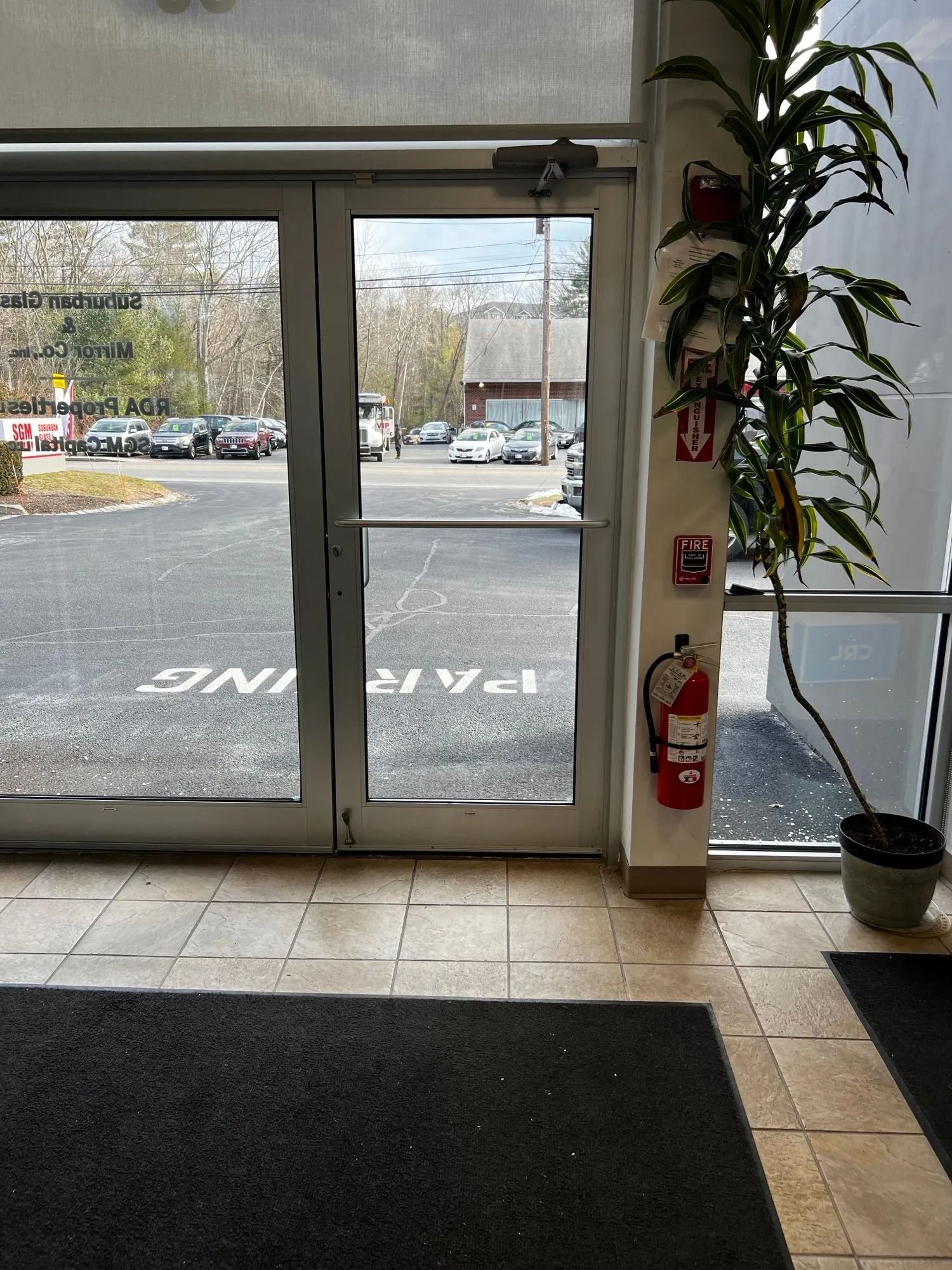 View of a parking lot through glass double doors, with a fire extinguisher and a potted plant on the wall to the right.