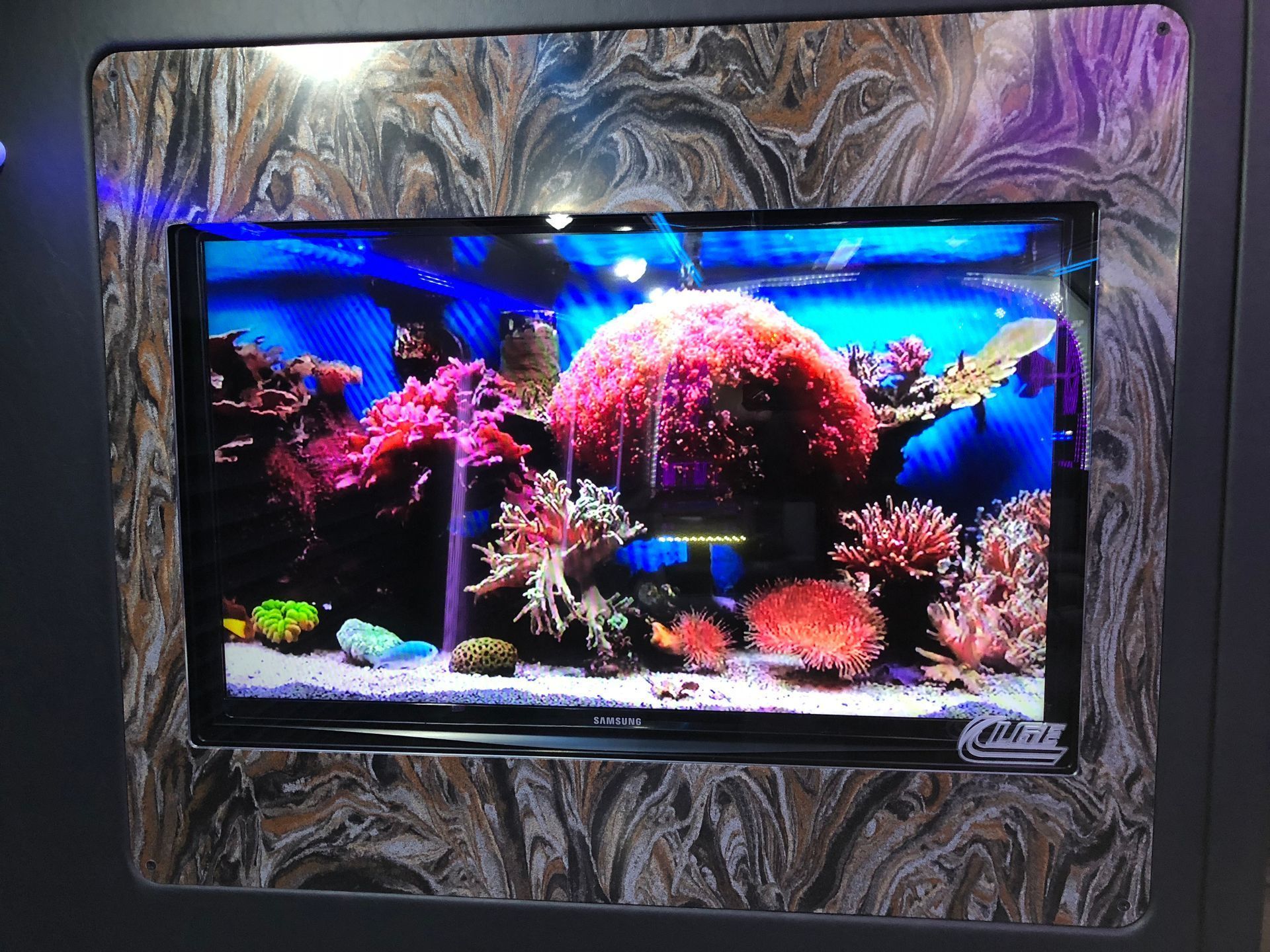 An aquarium display with colorful coral and fish, framed in marble-like material.