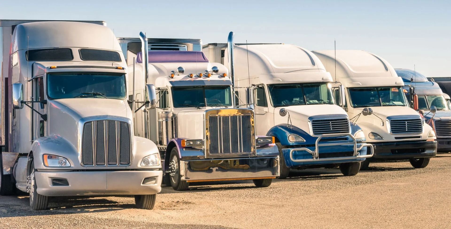 A row of semi-trucks parked on a gravel lot under a bright sky.