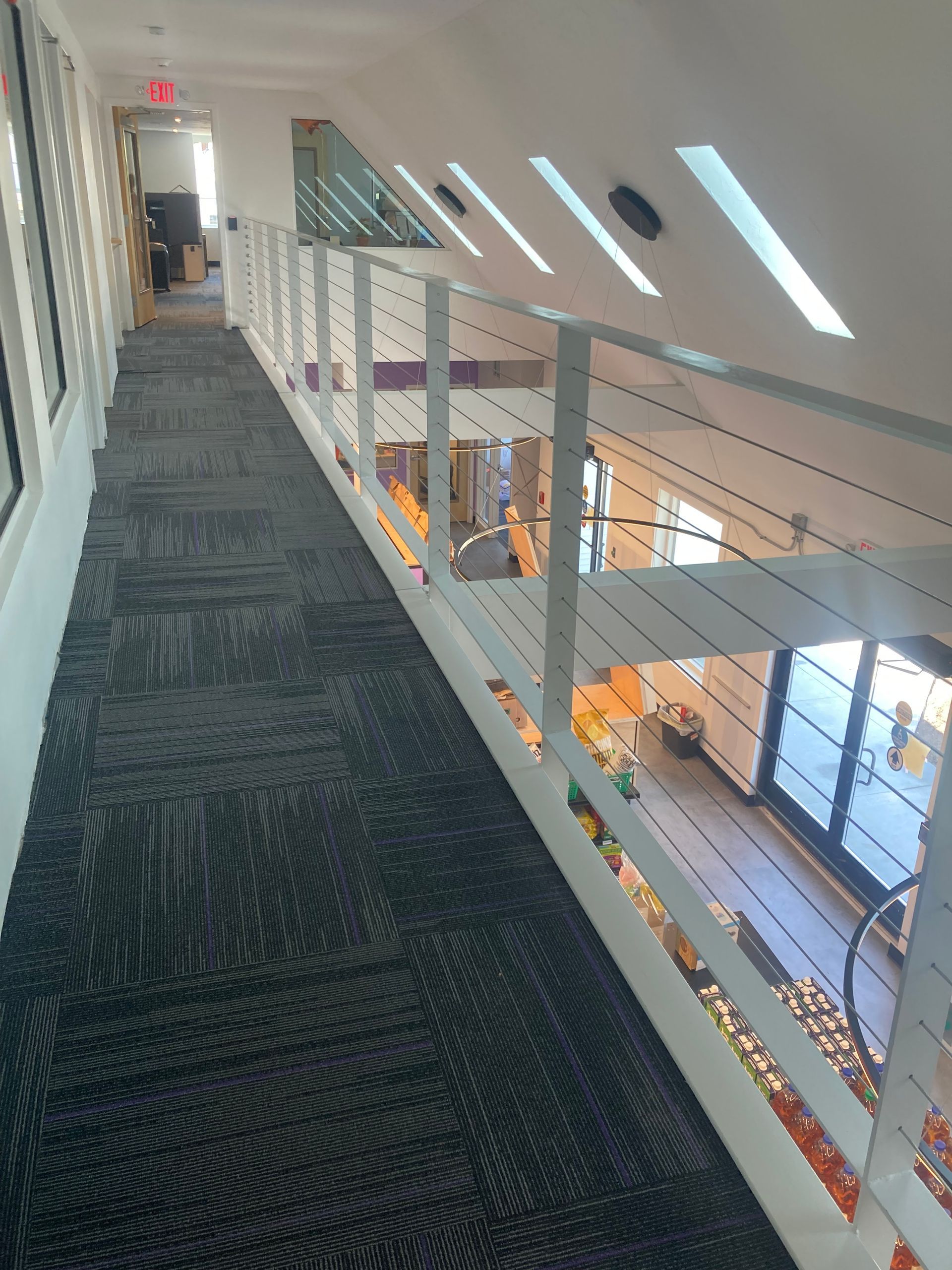 A hallway with dark patterned carpet, white walls, and a wire railing overlooking an office space with large windows.