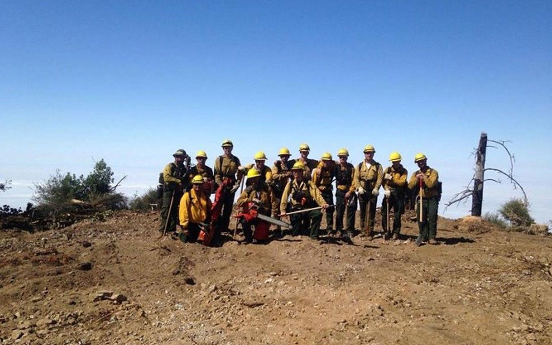 Wildland fire services