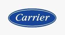 Carrier logo in white script on a blue oval background