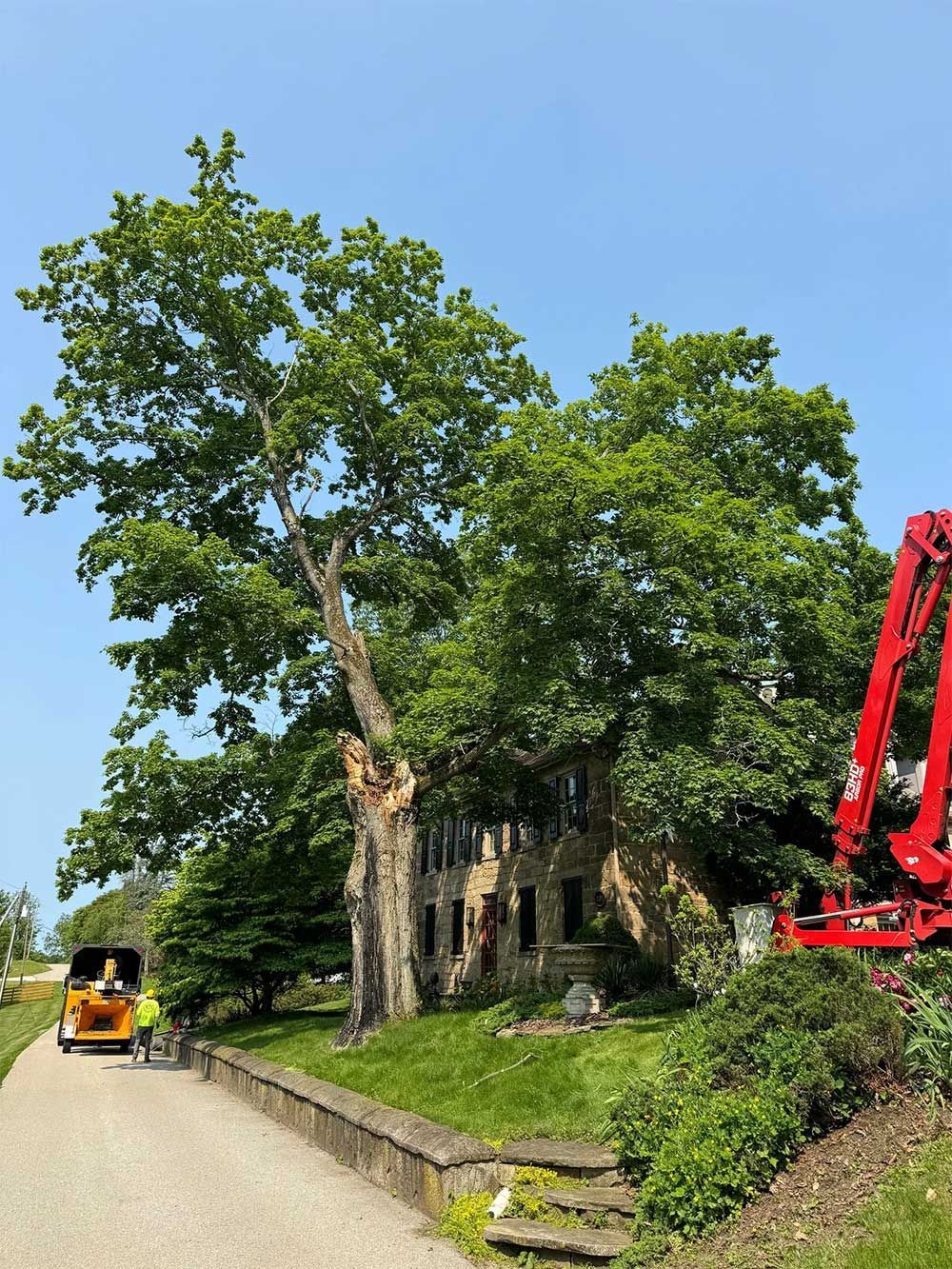 A large, damaged tree next to a weathered stone building, with a small vehicle and machinery nearby.