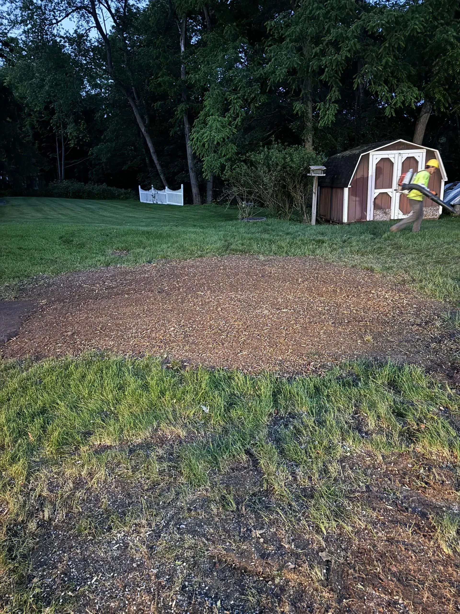 A person raking wood chips in a backyard, near a playhouse and trees.