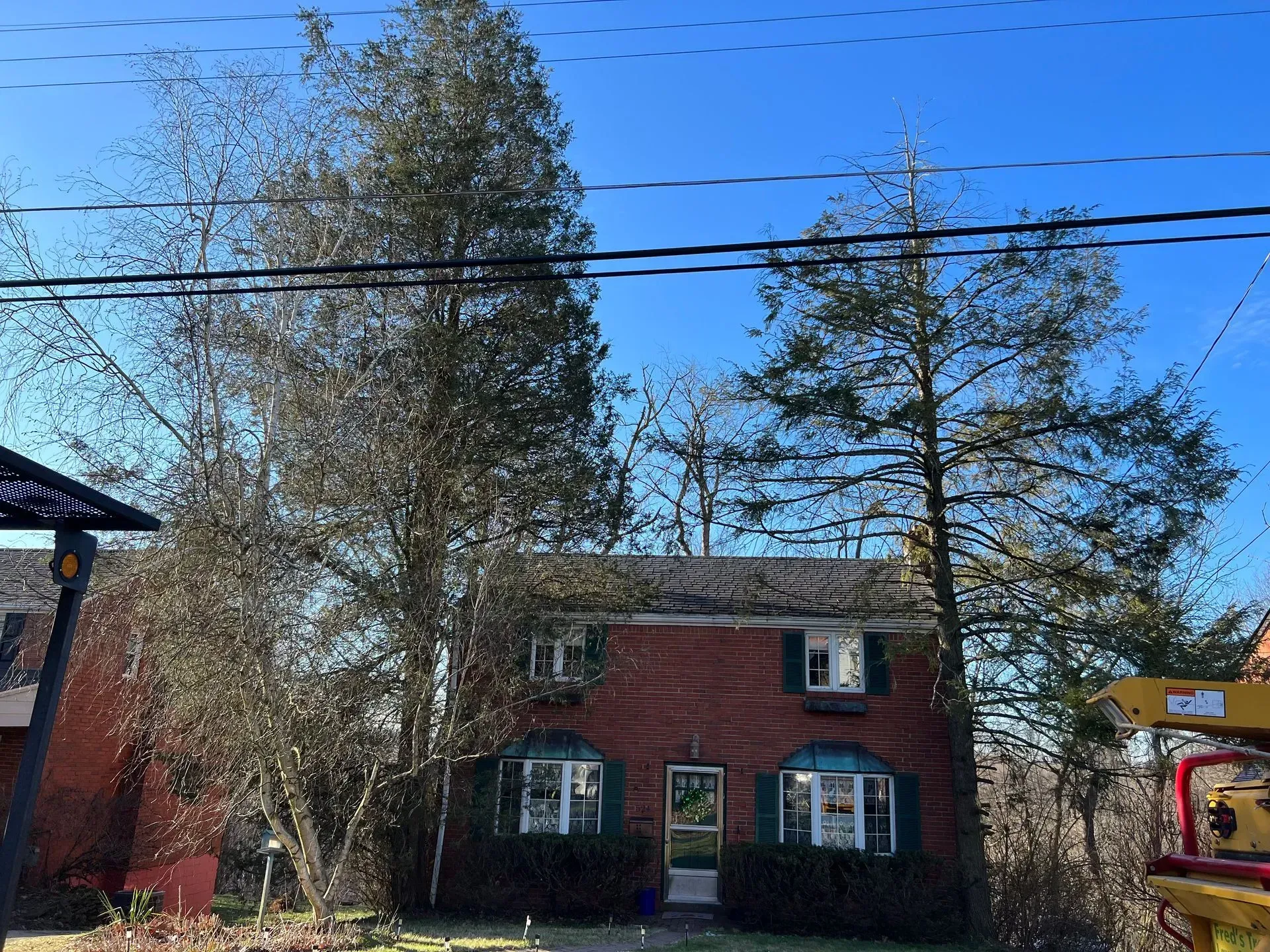 Brick house with two large trees obscuring the roof. Green shutters, blue sky.