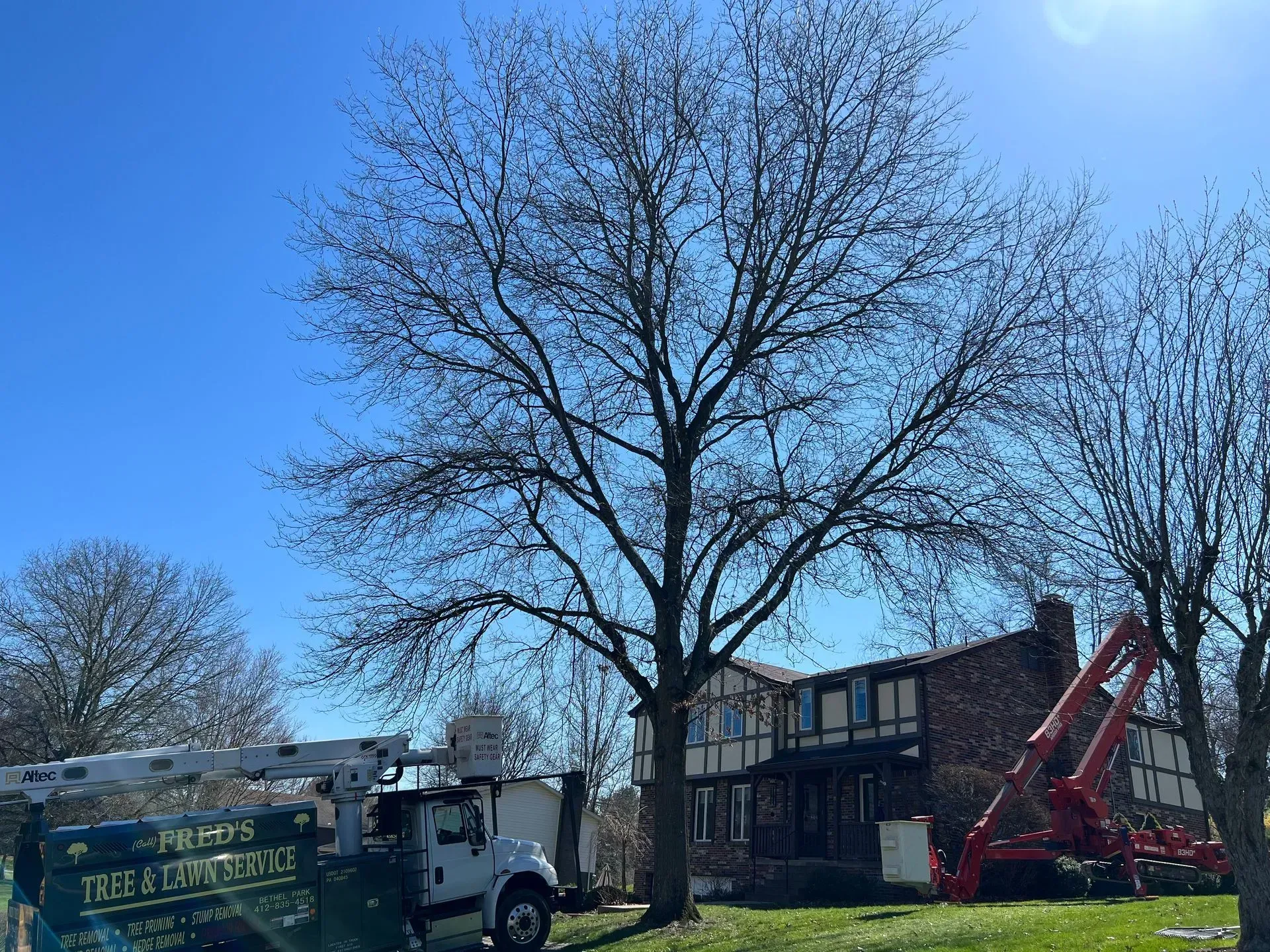 Tree service truck near a large tree in front of a brick house on a sunny day.