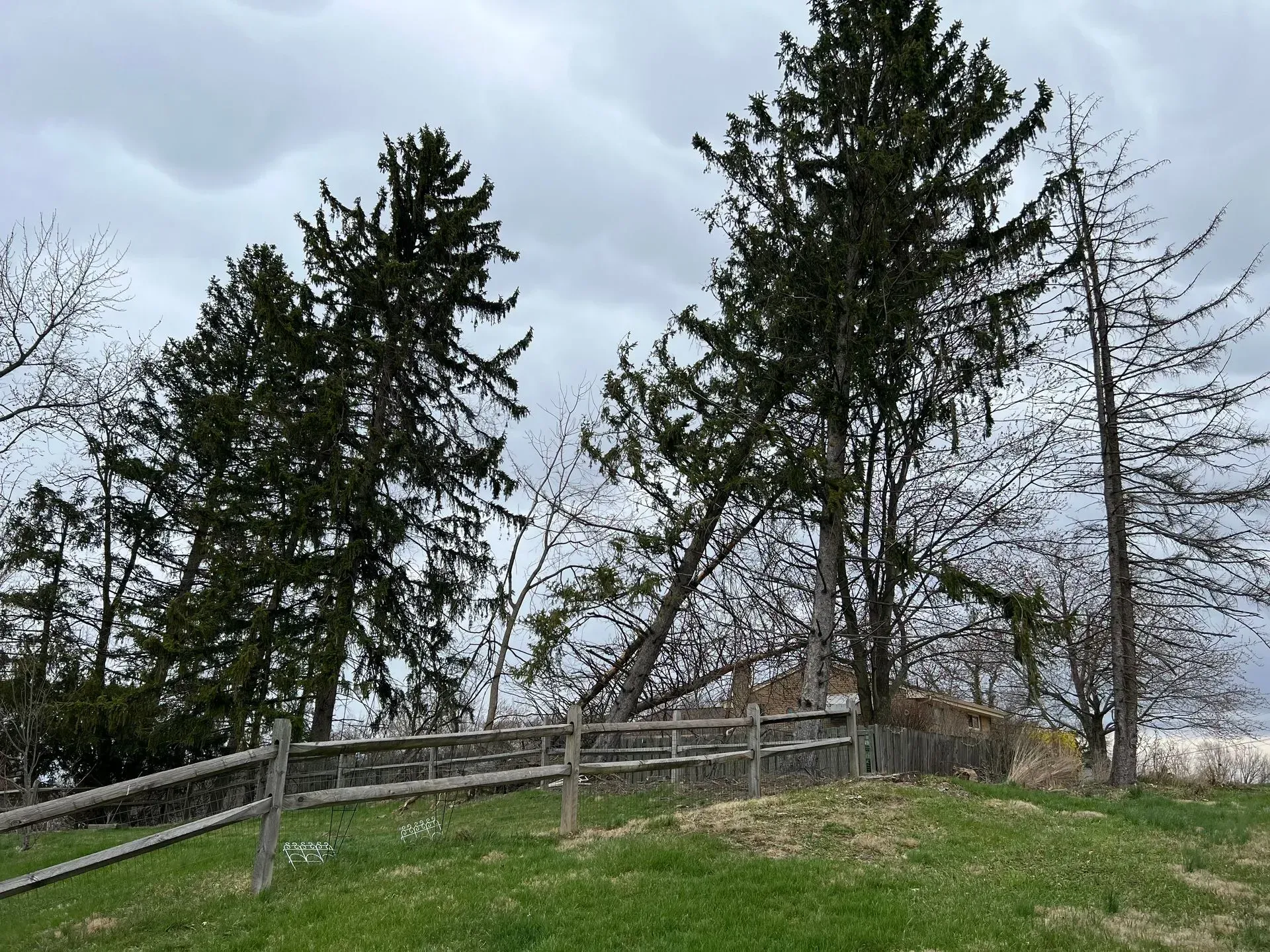 Green field with a wooden fence, tall trees under a cloudy sky.