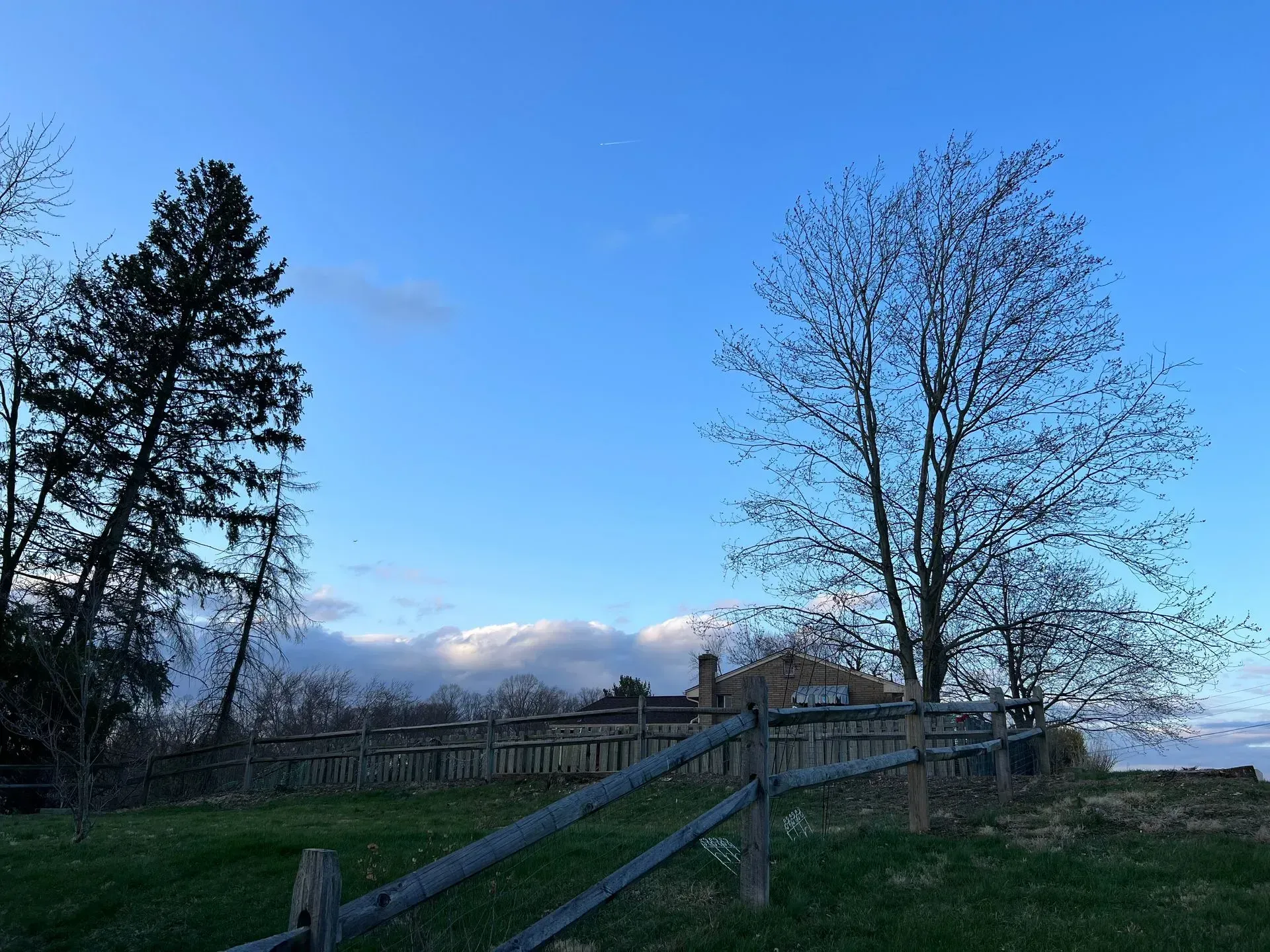 Blue sky over a wooden fence, bare tree, and evergreen near a building in a grassy field.