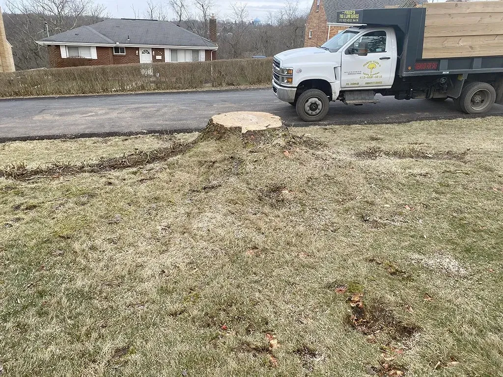 A stump with a truck behind it on a residential lawn; brown grass, gray asphalt, overcast sky.