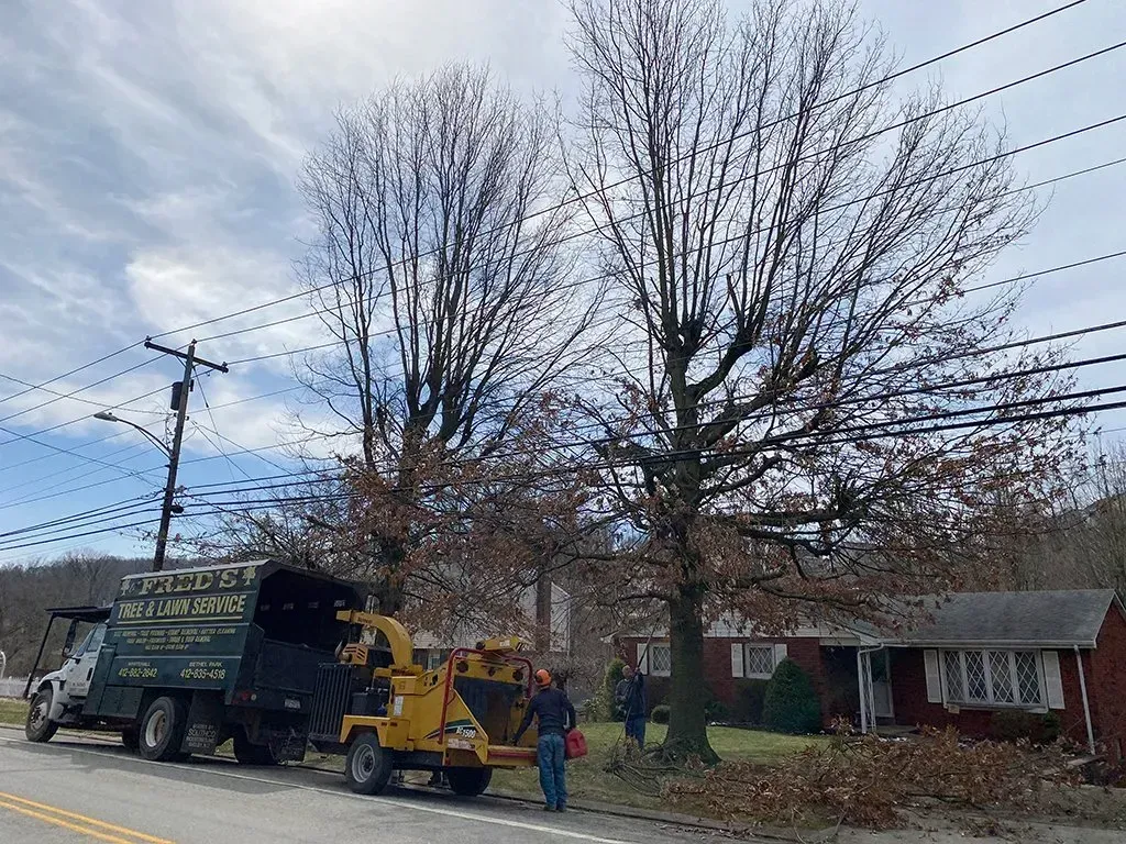 Tree trimming service near a home with a truck, chipper, and workers on a sunny day.