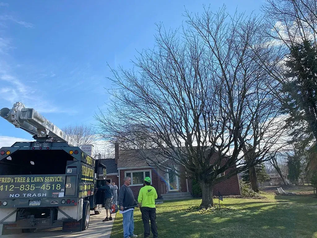 A tree trimming service truck with crew in front of a red brick house.