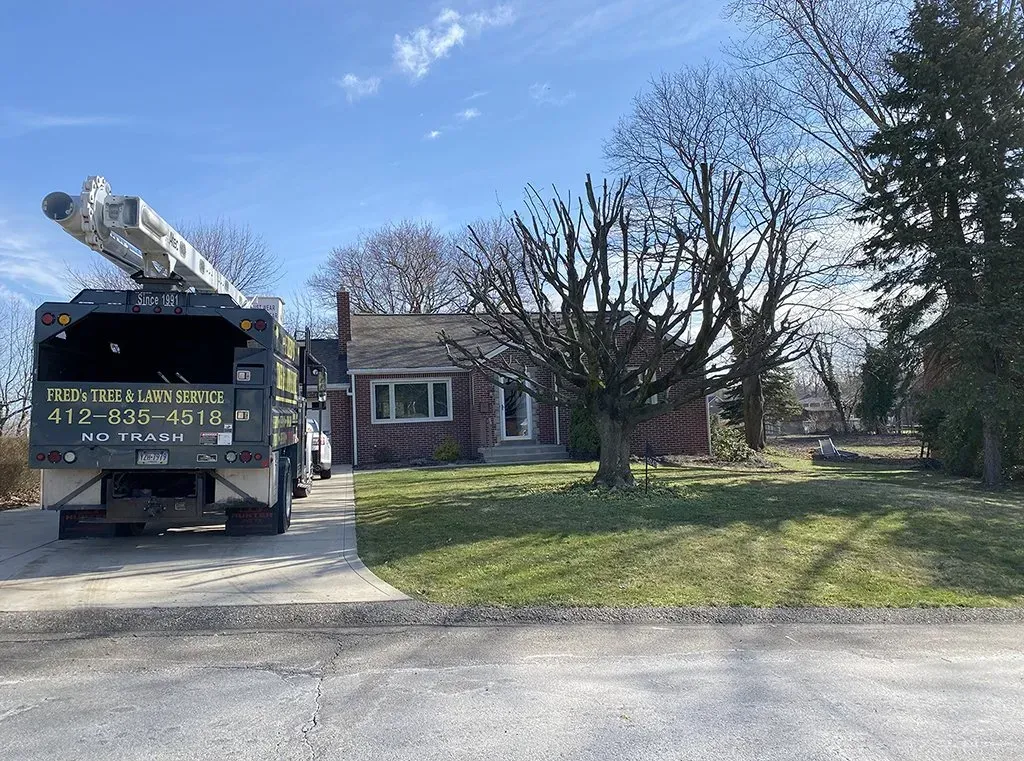 A truck with a ladder parked in front of a small house with a yard on a sunny day.