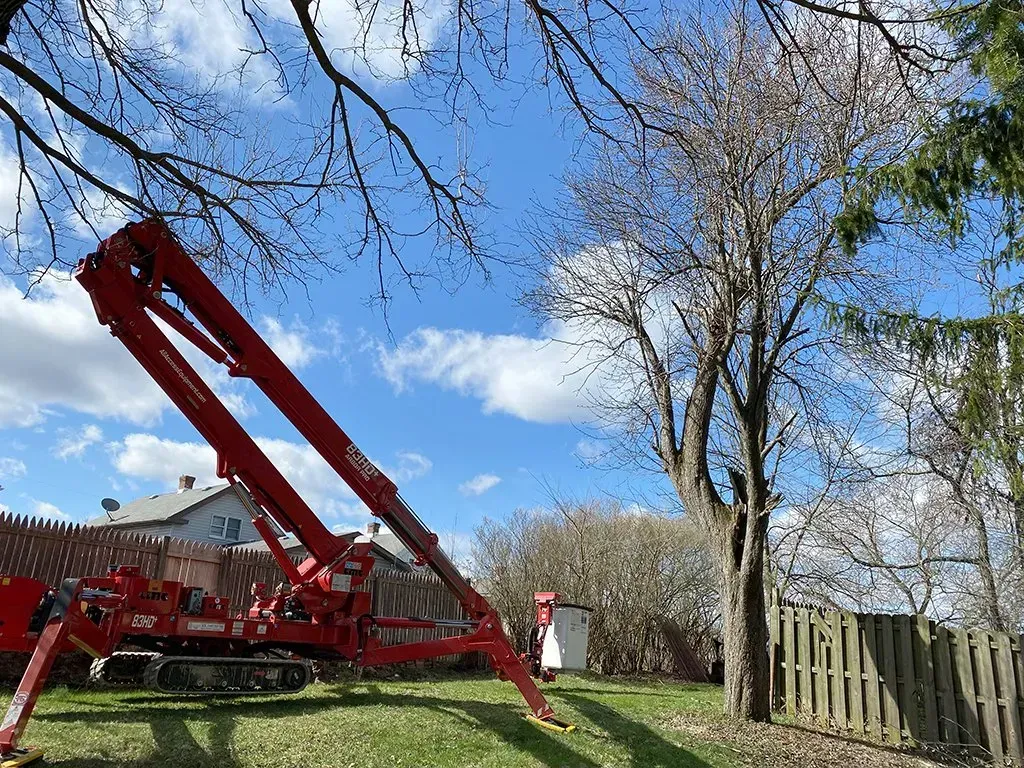 Red tree-trimming lift reaching into a blossoming tree in a backyard; sunny day.
