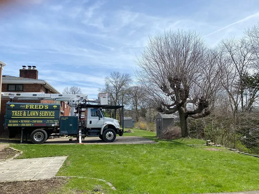 Truck for tree service parked on a grassy yard next to a tree and house. Blue sky.