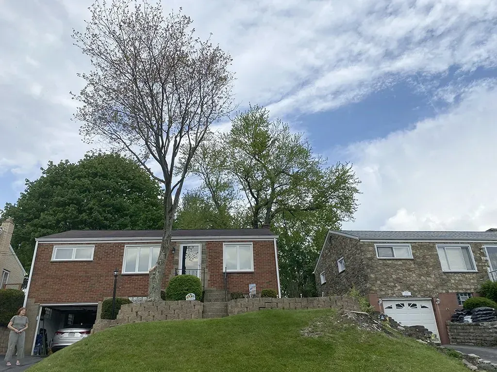 Brick house with a tree growing through the roof. Car in garage, stone house next door, cloudy sky.